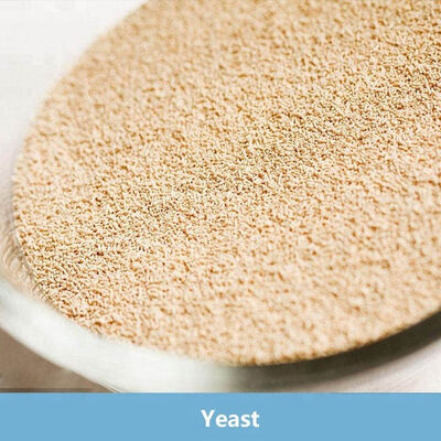 ভালো দাম রুটি খামিরের জন্য নিম্ন চিনির তাত্ক্ষণিক শুকনো খামির 500 গ্রাম ভ্যাকুয়াম প্যাকিং অনলাইন