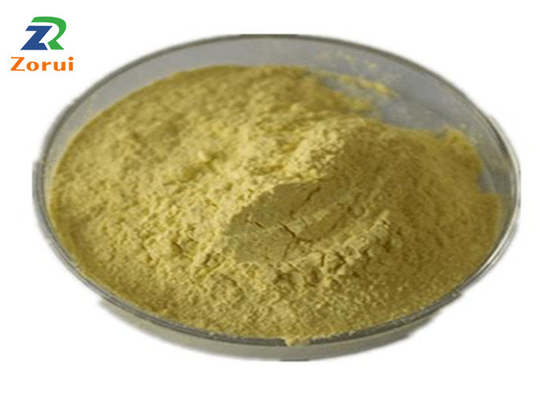 ভালো দাম কাশি দমনকারী এক্সপেক্টোরেন্ট CAS 117-39-5 এর জন্য Sophora Japonica Extract/ Quercetin পাউডার বাল্ক অনলাইন