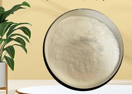 ভালো দাম বেকারি ডেইরি মিট ইন্ডাস্ট্রির জন্য CAS 90-80-2 E575 Glucono-Delta-Lactone GDL অনলাইন
