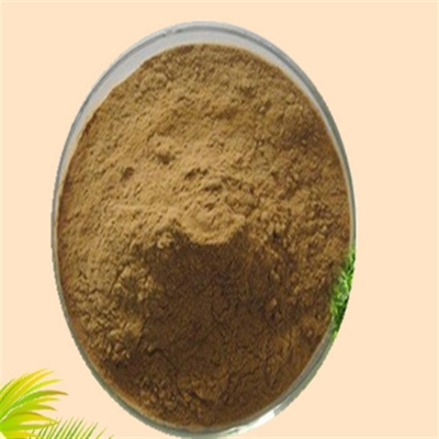 ভালো দাম CAS 84604-15-9 Serenoa Serrulata ফল এক্সট্র্যাক্ট আইএসও কারখানা Saw Palmetto এক্সট্র্যাক্ট অনলাইন