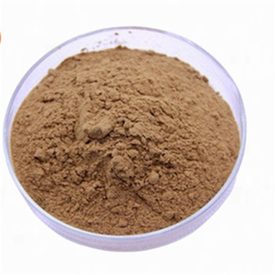 ভালো দাম CAS 90045-36-6 অ্যান্টিঅক্সিডেন্টস জিংকো বিলোবা পাতার নিষ্কাশন অনলাইন