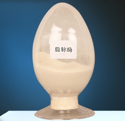 ভালো দাম লিপিড বিপাকের জন্য লাইপেস এনজাইম CAS 9001-62-1, ৯৯% বিশুদ্ধতা অনলাইন