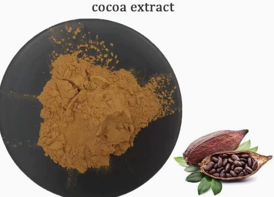 ভালো দাম খাদ্য ও পানীয় কোকো নির্যাস জন্য CAS 84649-99-0 Theobroma Cacao Extract অনলাইন