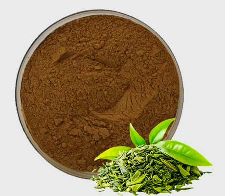 ভালো দাম উচ্চ বিশুদ্ধতা EGCG গ্রিন টি এক্সট্র্যাক্ট প্রাকৃতিক অ্যান্টিঅক্সিডেন্ট কসমেটিক গ্রেড চা পলিফেনল পাউডার অনলাইন